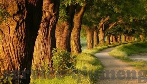 kaiyun登录中国入口登录-云端之旅，探索Kaiyun登录中国入口的奥秘